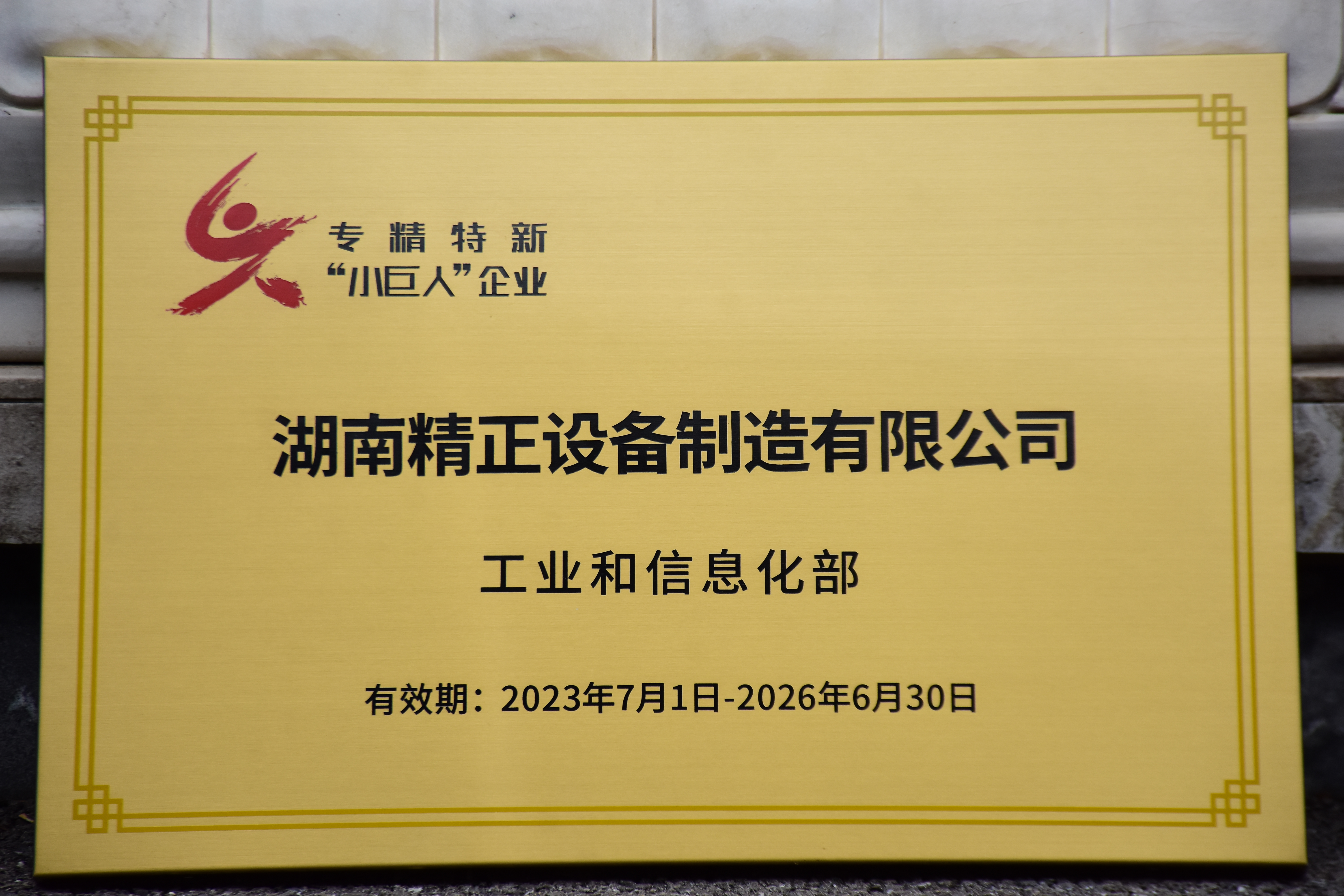 乐动网获得“专精特新”小巨人企业